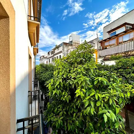 San Fernando De La Ribera *